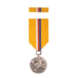 Medal for Heroism (obverse)
