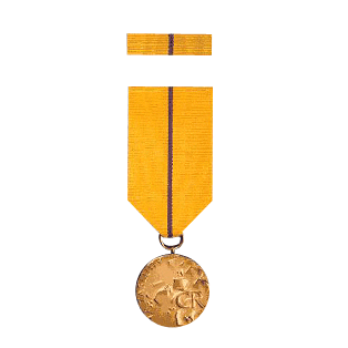 Medaile Za zásluhy I. stupně (avers)
