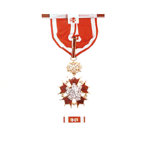 The White Lion Order, Third Class, Military Division
