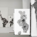 Květy oplodnění, 2013, tušová malba, rýžový papír, inkoust