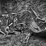 Sebastião Salgado, Ženy z vesnice Zo'é v oblasti Towari Ypy si barví těla červeným ovocem