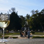 Vinobraní na Pražském hradě