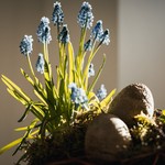Early Spring: Ephemeral Entities