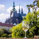 The Prague Castle Wine Harvest Festival
