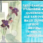 Barbora Lungová, Květomluva aneb Intimní rozpravy z lesbického života a několika zahrad, skrze kosatce, 2024