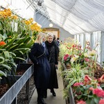 Early Spring: A Garden of Small Gestures