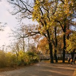 Výstava soutěžních návrhů obnovy parku Chotkovy sady
