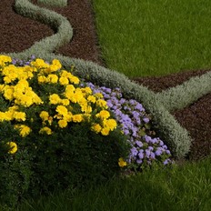 Jižní zahrady: květinové ornamenty