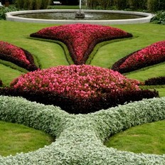Královská zahrada: květinové ornamenty