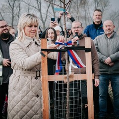 Výsadba Aleje svobody'24, Broumov - Hejtmánkovice, 11.9.2024, foto: Zuzana Bönisch
