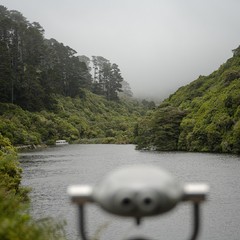 Návštěva chráněného území Zealandia, Wellington Central, 05.12.2024, foto: Tomáš Fongus