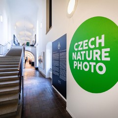 Czech Nature Photo 2025: Kde příroda vládne, Pražský hrad, 22.4.2025, foto: Czech Photo Centre