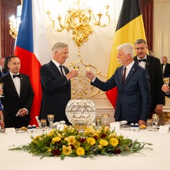 Oficiální návštěva Jeho Veličenstva, krále Belgičanů, Pražský hrad, 5.5.2025, foto: Tomáš Fongus 