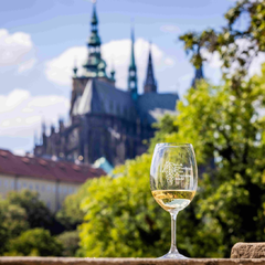 Pražský hrad chystá na začátku září vinobraní