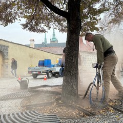 Stromy na Pražském hradě dostaly injekce živin přímo ke kořenům