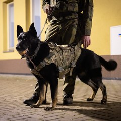 Návštěva Libereckého kraje, Centrum vojenské kynologie Armády ČR, Chotyně, 10.12.2025, foto: Zuzana Bönisch