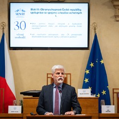 Veřejné slyšení v Senátu Parlamentu ČR, 24.2.2026, foto: Zuzana Bönisch