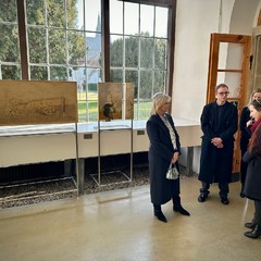 Výstava Předjaří: Zahrada malých gest, Empírový skleník v Královské zahradě, Pražský hrad, 3.3.2026, foto: archiv KMPR