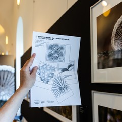 Pražský hrad zve na léto plné kultury. Program zavede návštěvníky do zahrad i katedrály