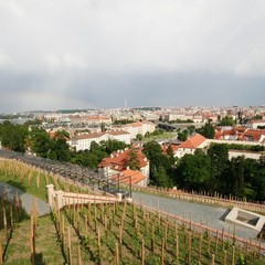Svatováclavská vinice: nejlepší výhled na Prahu a údolí Vltavy