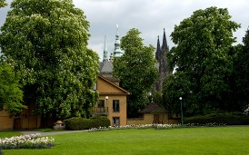 Královská zahrada: průhled na Katedrálu