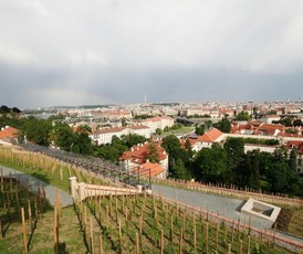 Svatováclavská vinice: nejlepší výhled na Prahu a údolí Vltavy