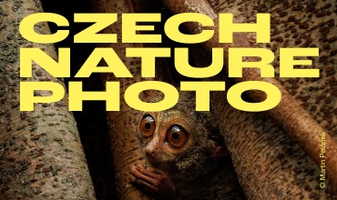 Czech Nature Photo: Best Nature Photographs